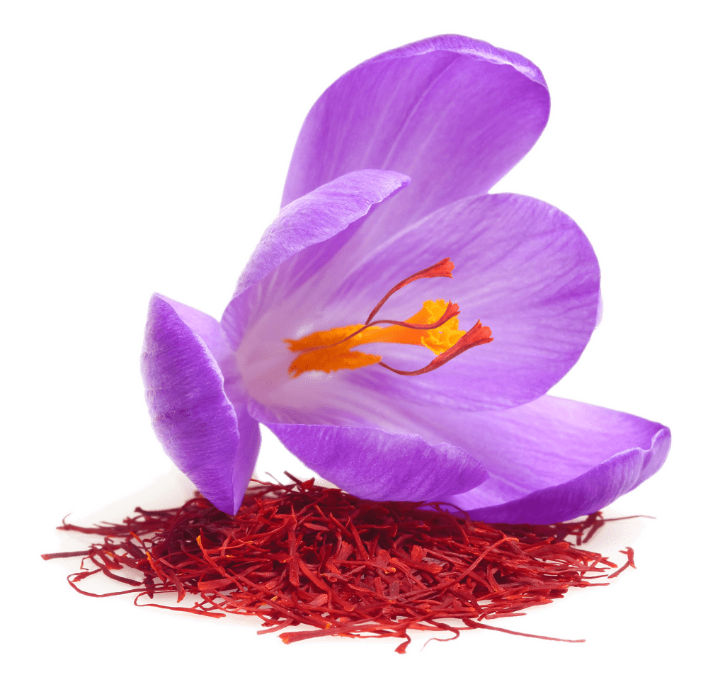 kisspng-saffron-autumn-crocus-stock